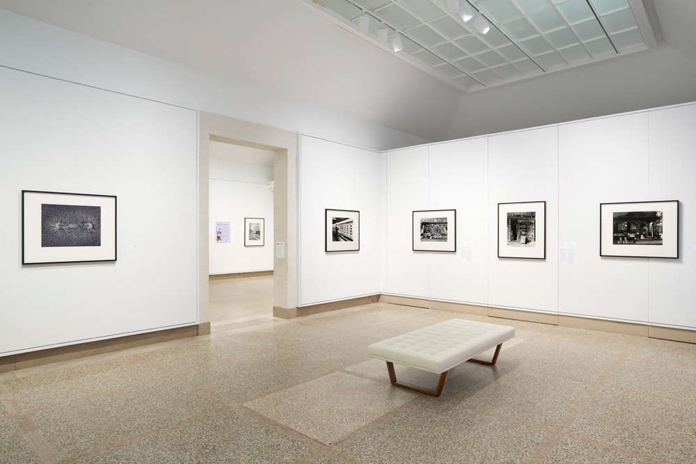 Berenice Abbott and Elizabeth McCausland at the Heckscher Museum of Art, USA